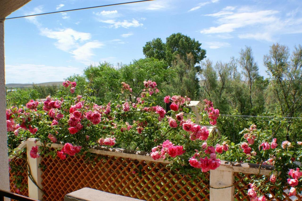 Apartments With A Parking Space Povljana, Pag - 227 Екстериор снимка